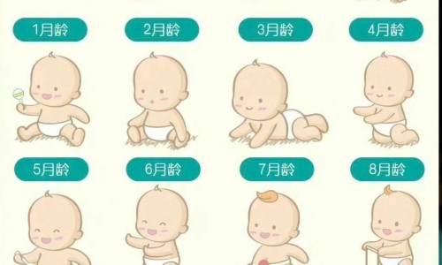 婴儿什么时候可以开始吃盐？